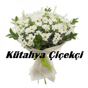 Papatya Büyüsü