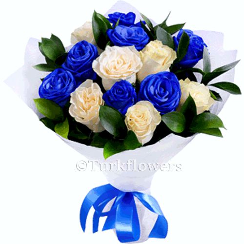 Mavi-Beyaz Güller
