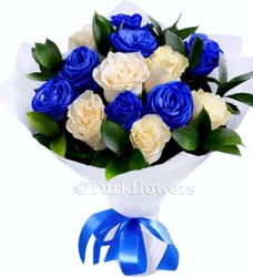 Mavi-Beyaz Güller